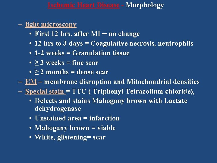 Ischemic Heart Disease - Morphology – light microscopy • First 12 hrs. after MI