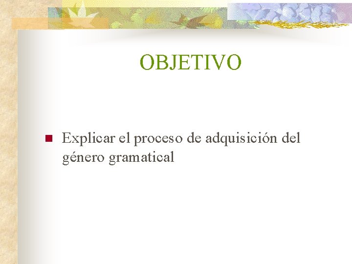 OBJETIVO n Explicar el proceso de adquisición del género gramatical 