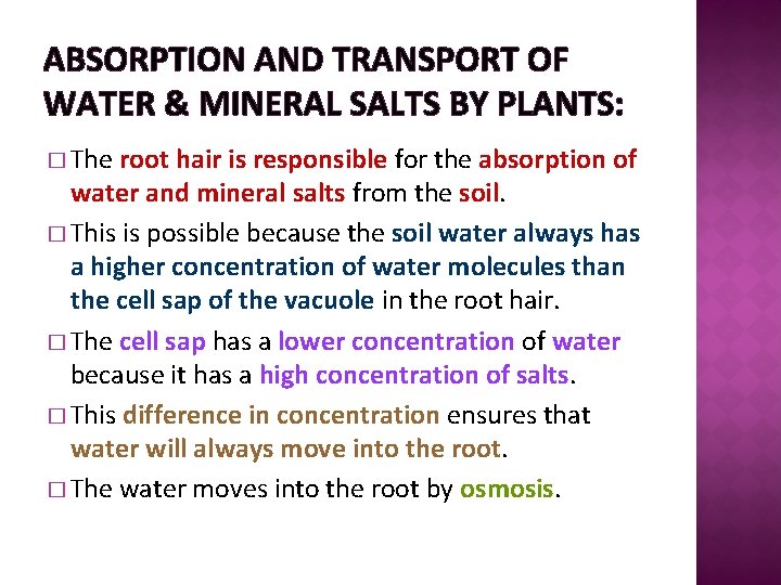 ABSORPTION AND TRANSPORT OF WATER & MINERAL SALTS BY PLANTS: � The root hair