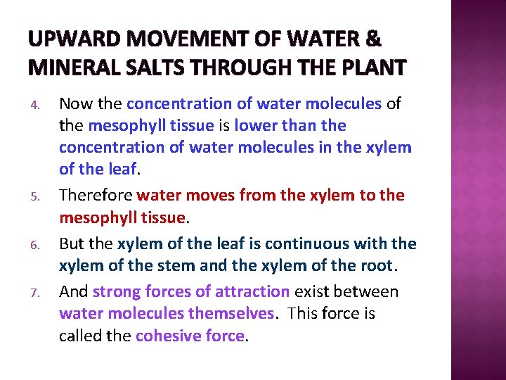 UPWARD MOVEMENT OF WATER & MINERAL SALTS THROUGH THE PLANT 4. 5. 6. 7.