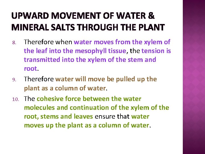 UPWARD MOVEMENT OF WATER & MINERAL SALTS THROUGH THE PLANT 8. 9. 10. Therefore