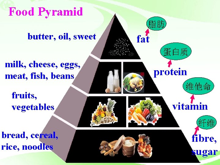 Food Pyramid 脂肪 butter, oil, sweet fat 蛋白质 milk, cheese, eggs, meat, fish, beans