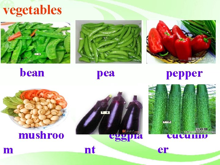 vegetables bean pea mushroo m eggpla nt pepper cucumb er 