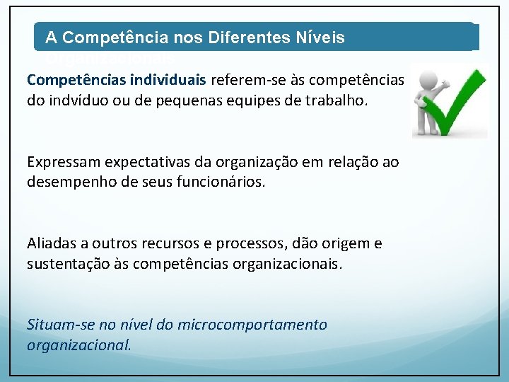 A Competência nos Diferentes Níveis Organizacionais Competências individuais referem-se às competências do indvíduo ou