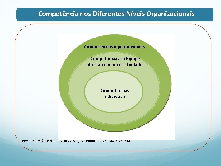 Competência nos Diferentes Níveis Organizacionais Fonte: Brandão; Puente-Palacius; Borges-Andrade, 2007, com adaptações 