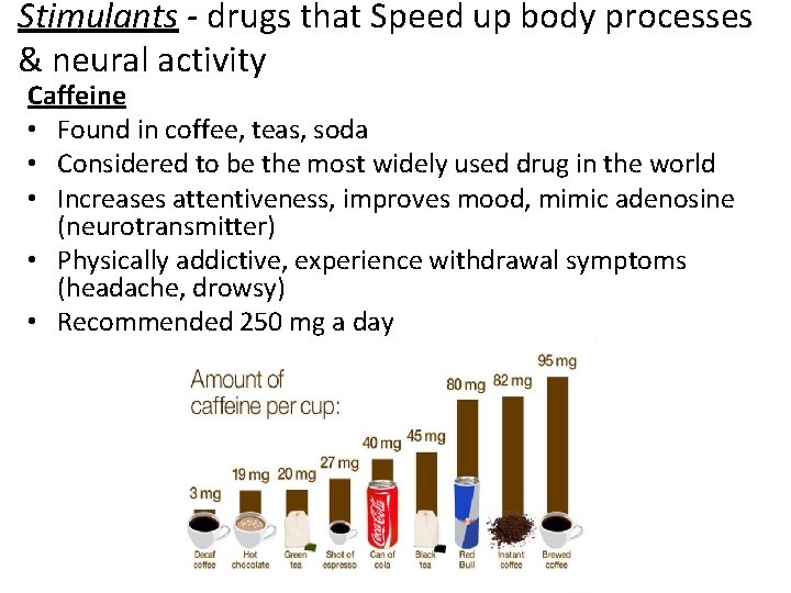 Stimulants - drugs that Speed up body processes & neural activity Caffeine • Found