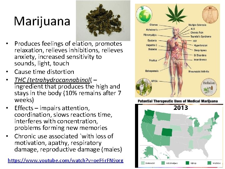 Marijuana • Produces feelings of elation, promotes relaxation, relieves inhibitions, relieves anxiety, increased sensitivity