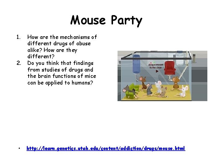 Mouse Party 1. 2. • How are the mechanisms of different drugs of abuse