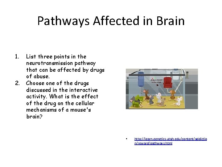 Pathways Affected in Brain 1. 2. List three points in the neurotransmission pathway that