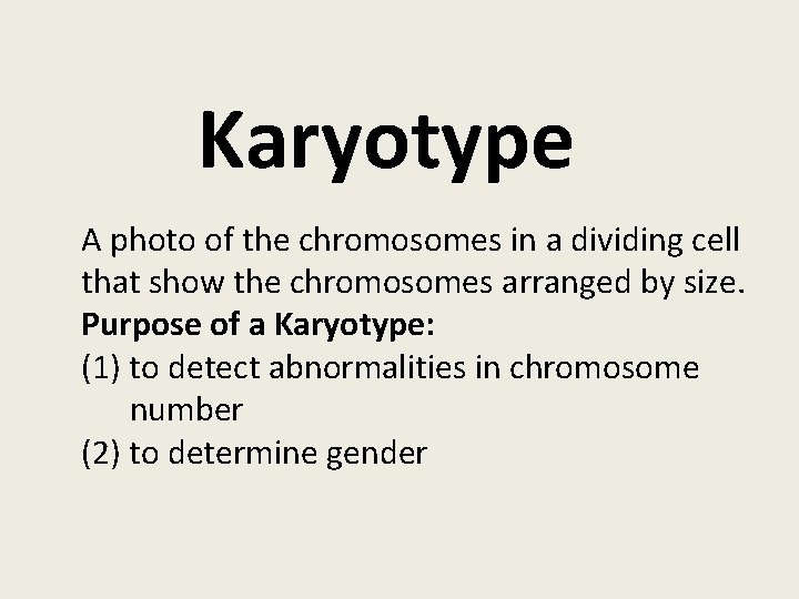 Karyotype A photo of the chromosomes in a dividing cell that show the chromosomes