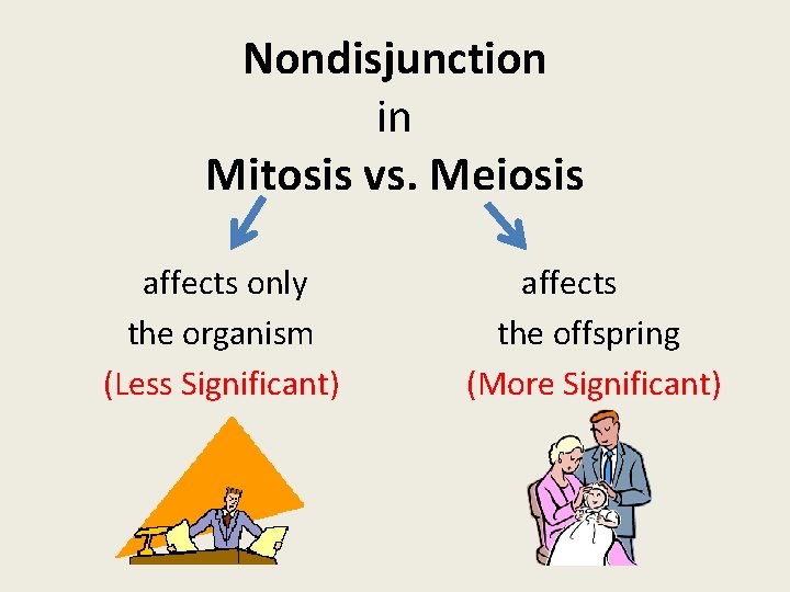 Nondisjunction in Mitosis vs. Meiosis affects only the organism (Less Significant) affects the offspring