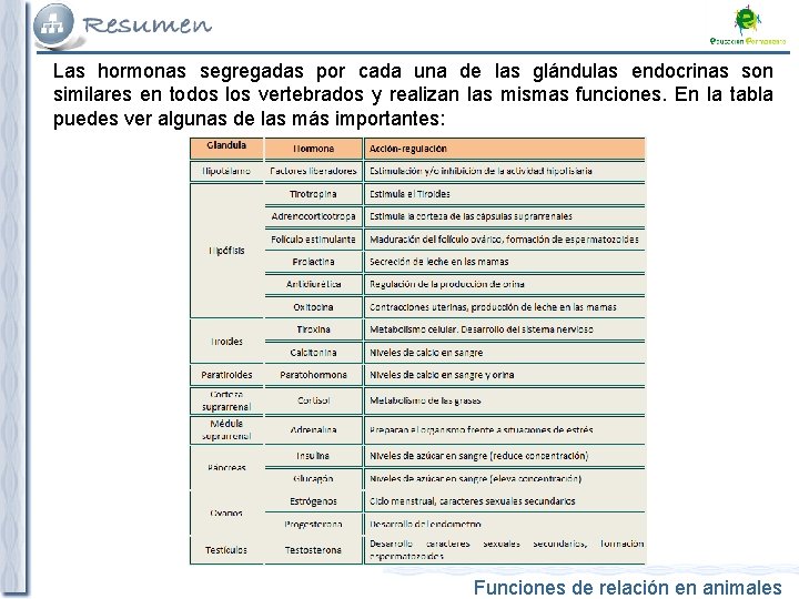 Las hormonas segregadas por cada una de las glándulas endocrinas son similares en todos