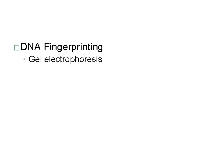 �DNA Fingerprinting • Gel electrophoresis 