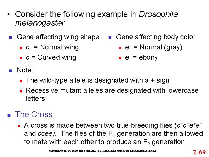  • Consider the following example in Drosophila melanogaster Gene affecting wing shape +