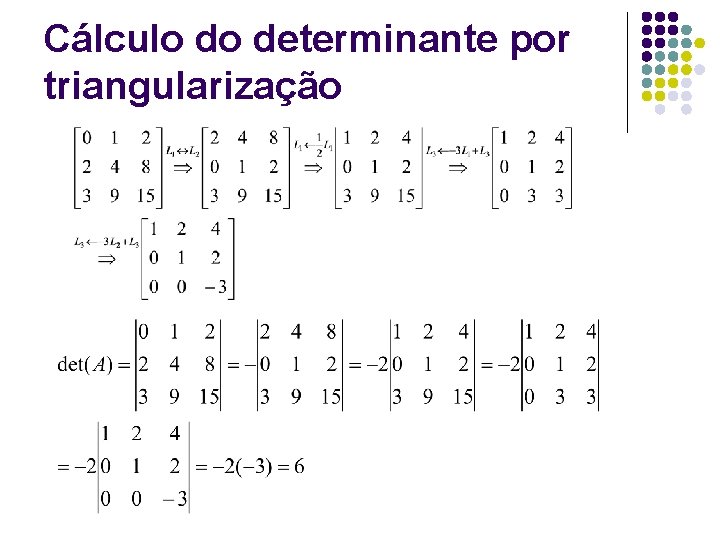 Cálculo do determinante por triangularização 