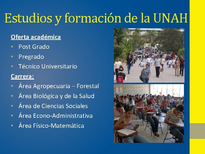 Estudios y formación de la UNAH Oferta académica • Post Grado • Pregrado •