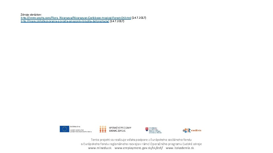 Zdroje obrázkov: http: //www. yoyita. com/Flora_Nicaragua/Nicaraguan-Caribbean-tropical-Forest-04. html (14. 7. 2017) http: //mare. sk/odlesnovanie-povodia-amazonky-brazilia-deforestacia/ (14.