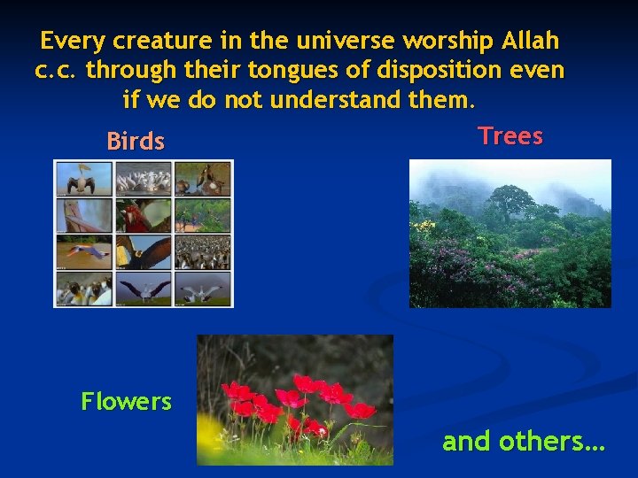 Every creature in the universe worship Allah c. c. through their tongues of disposition