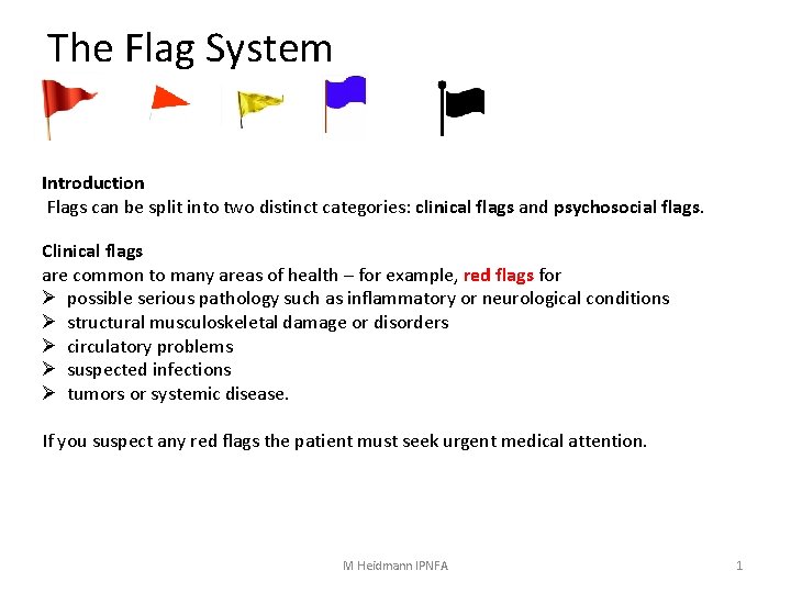 The Flag System Introduction Flags can be split into two distinct categories: clinical flags