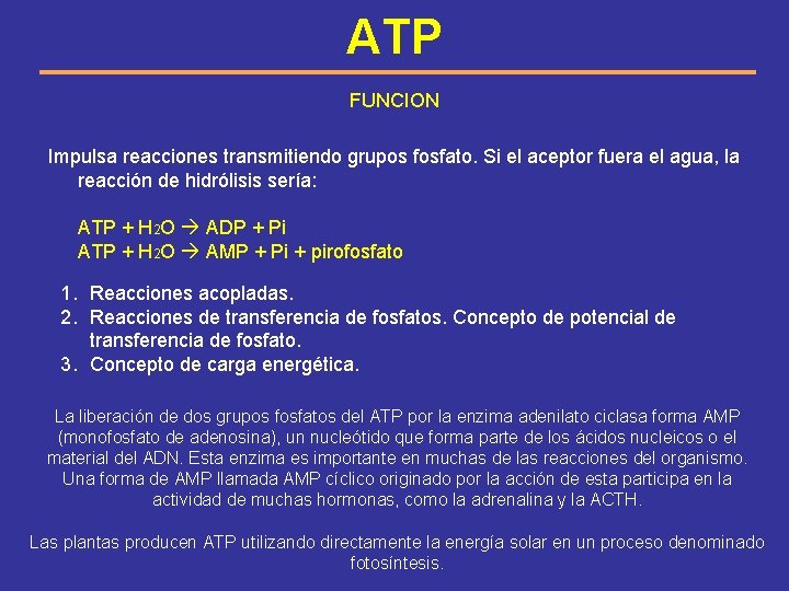 ATP FUNCION Impulsa reacciones transmitiendo grupos fosfato. Si el aceptor fuera el agua, la