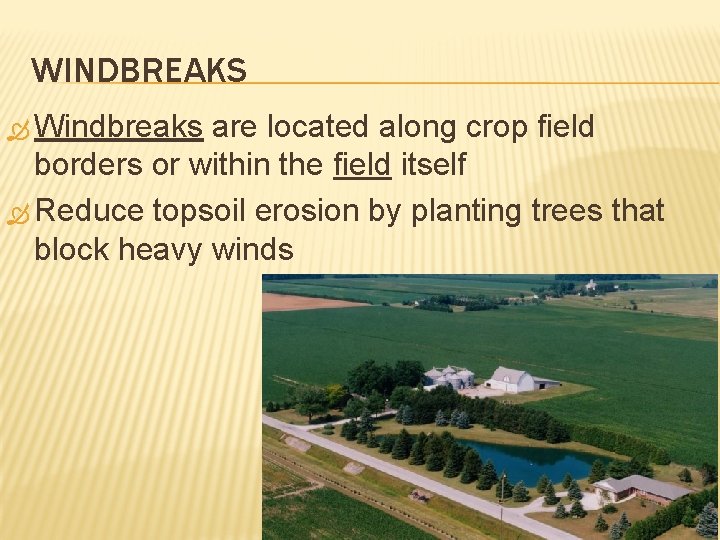 WINDBREAKS Windbreaks are located along crop field borders or within the field itself Reduce