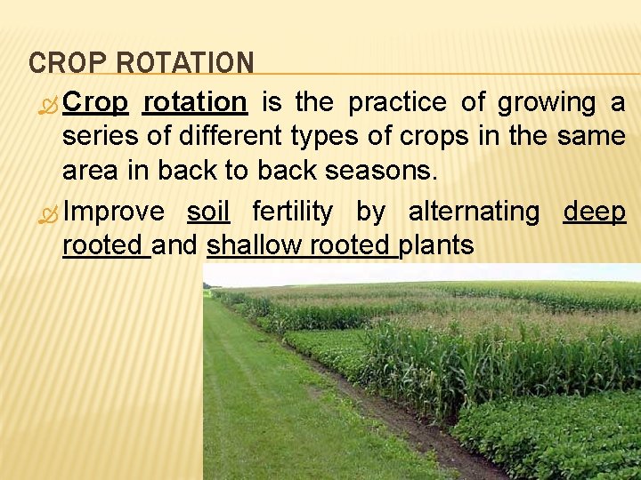 CROP ROTATION Crop rotation is the practice of growing a series of different types