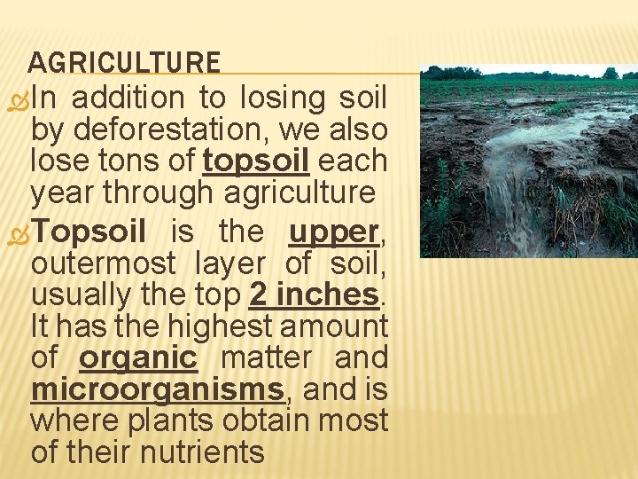 AGRICULTURE In addition to losing soil by deforestation, we also lose tons of topsoil