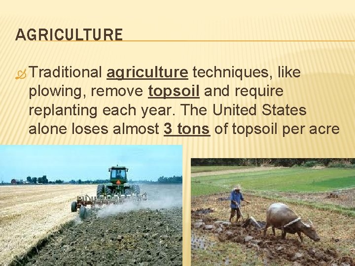 AGRICULTURE Traditional agriculture techniques, like plowing, remove topsoil and require replanting each year. The