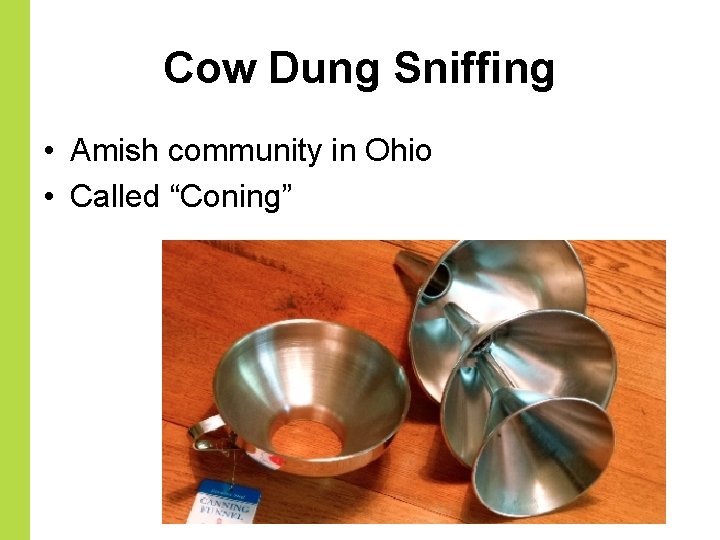 Cow Dung Sniffing • Amish community in Ohio • Called “Coning” 