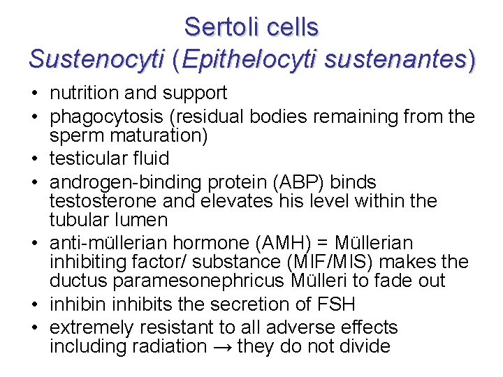 Sertoli cells Sustenocyti (Epithelocyti sustenantes) • nutrition and support • phagocytosis (residual bodies remaining