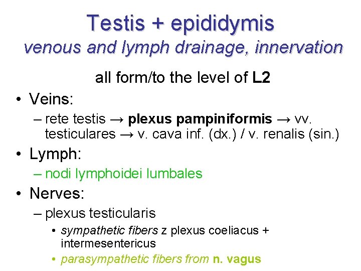 Testis + epididymis venous and lymph drainage, innervation all form/to the level of L