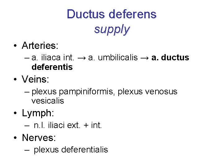 Ductus deferens supply • Arteries: – a. iliaca int. → a. umbilicalis → a.