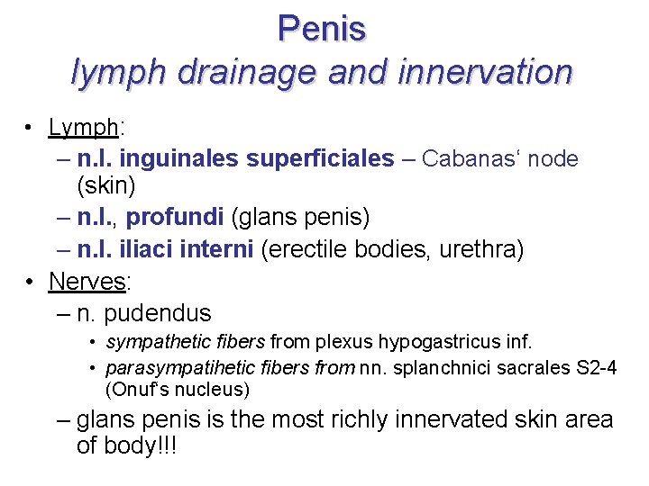 Penis lymph drainage and innervation • Lymph: – n. l. inguinales superficiales – Cabanas‘