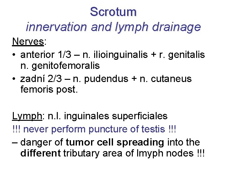 Scrotum innervation and lymph drainage Nerves: • anterior 1/3 – n. ilioinguinalis + r.