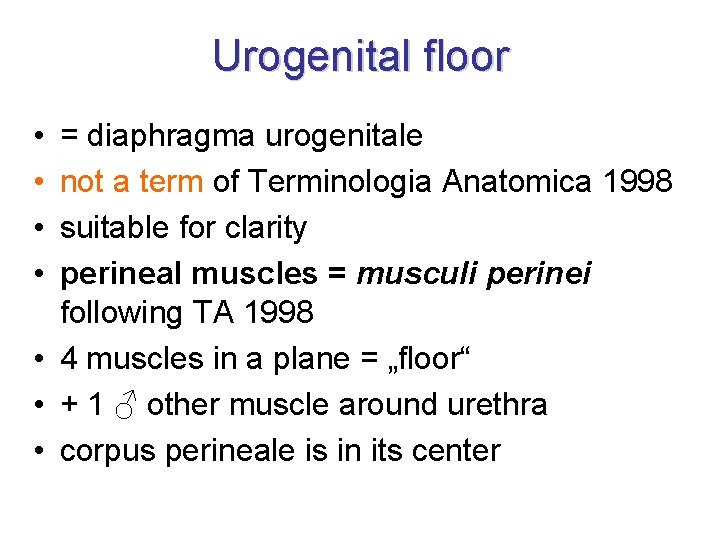 Urogenital floor • • = diaphragma urogenitale not a term of Terminologia Anatomica 1998