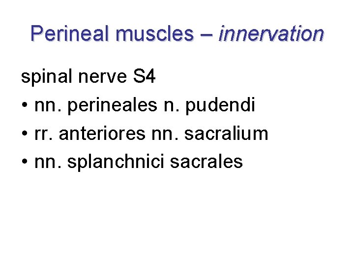 Perineal muscles – innervation spinal nerve S 4 • nn. perineales n. pudendi •