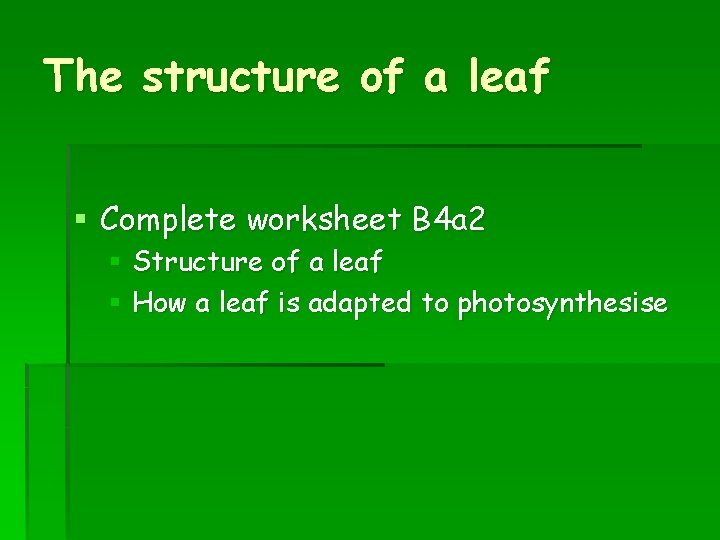 The structure of a leaf § Complete worksheet B 4 a 2 § Structure