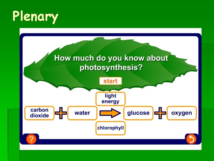 Plenary 