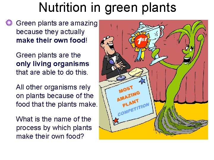 Nutrition in green plants Green plants are amazing because they actually make their own