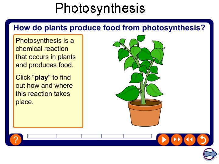 Photosynthesis 