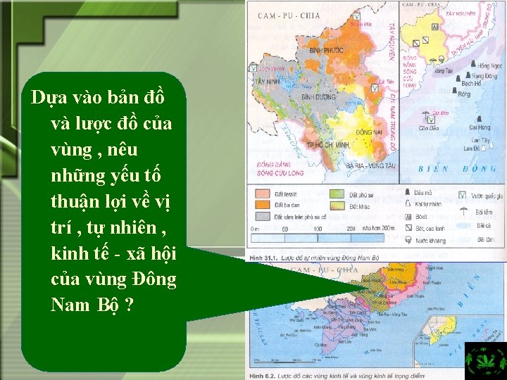 Dựa vào bản đồ và lược đồ của vùng , nêu những yếu tố