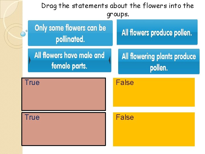 Drag the statements about the flowers into the groups. True False 