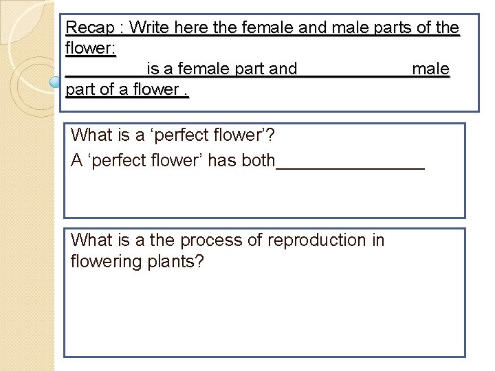 Recap : Write here the female and male parts of the flower: ____ is