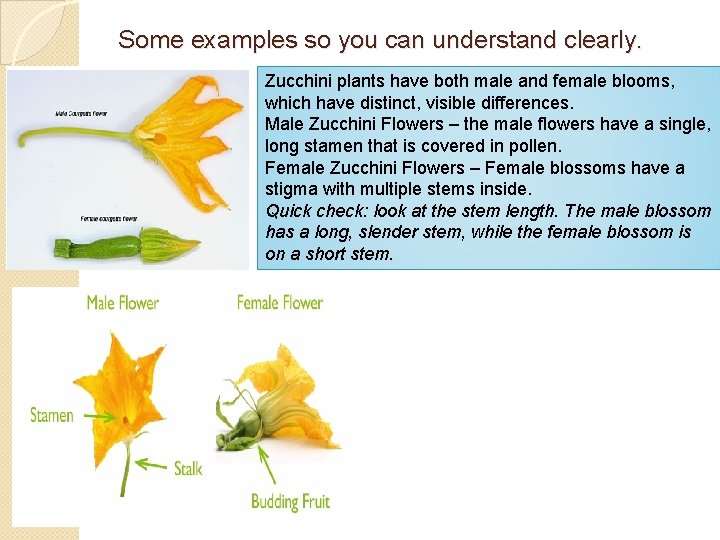 Some examples so you can understand clearly. Zucchini plants have both male and female