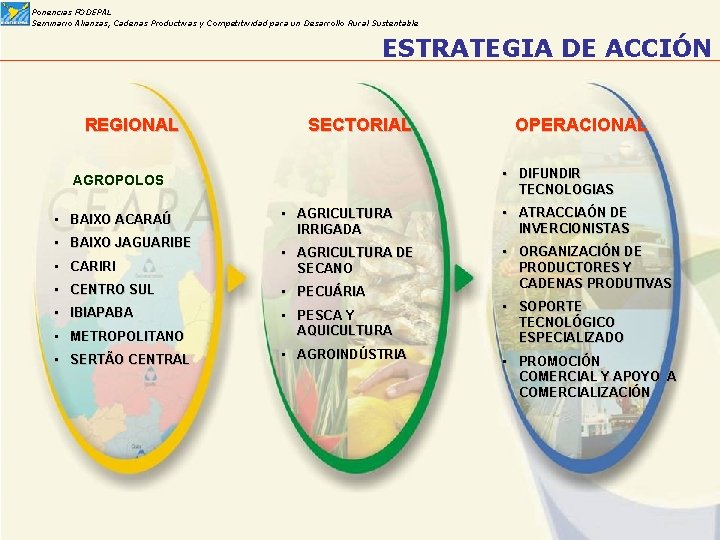 Ponencias FODEPAL Seminario Alianzas, Cadenas Productivas y Competitividad para un Desarrollo Rural Sustentable ESTRATEGIA