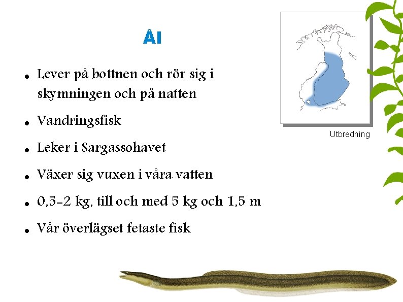 Ål Lever på bottnen och rör sig i skymningen och på natten Vandringsfisk Leker