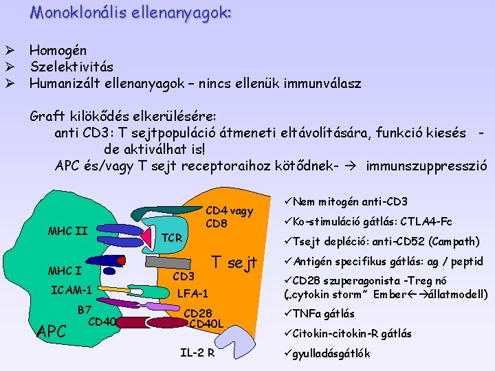 Monoklonális ellenanyagok: Ø Homogén Ø Szelektivitás Ø Humanizált ellenanyagok – nincs ellenük immunválasz Graft