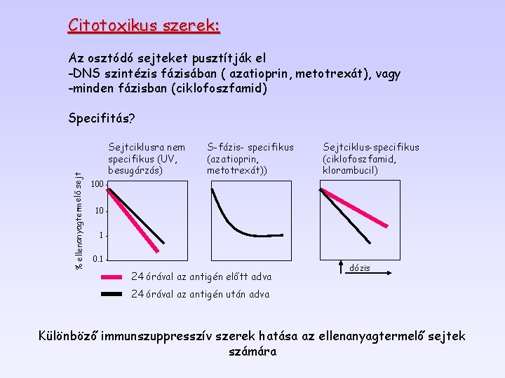 Citotoxikus szerek: % ellenanyagtermelő sejt Az osztódó sejteket pusztítják el -DNS szintézis fázisában (