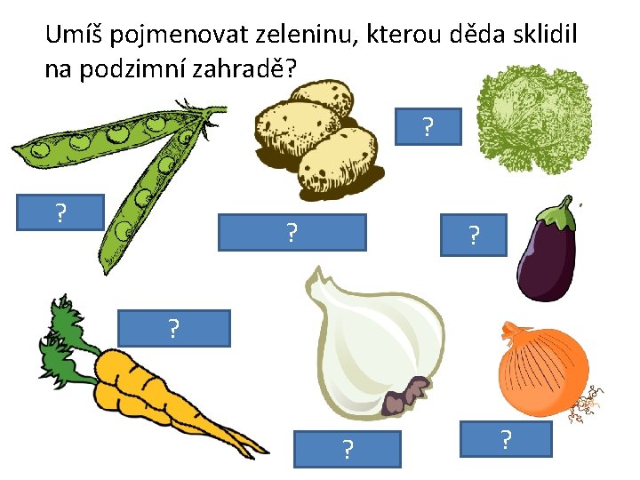 Umíš pojmenovat zeleninu, kterou děda sklidil na podzimní zahradě? zelí ? ? hrášek brambory