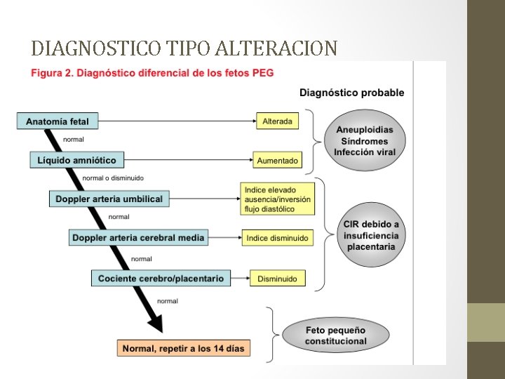 DIAGNOSTICO TIPO ALTERACION 